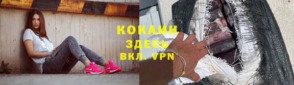 молекула духа Бронницы