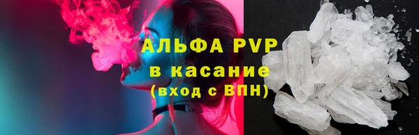 молекула духа Бронницы