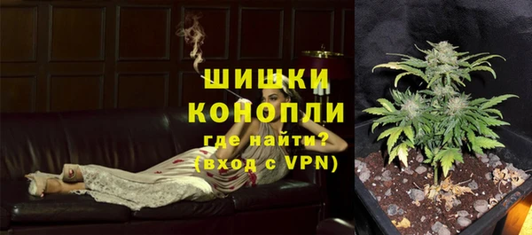 крисы Бугульма