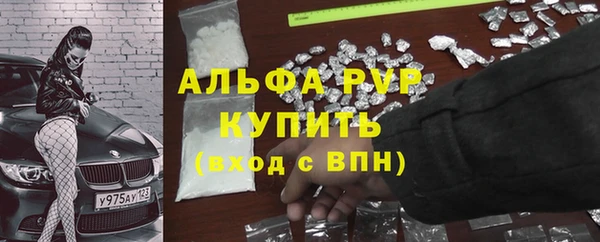 стаф Богородицк