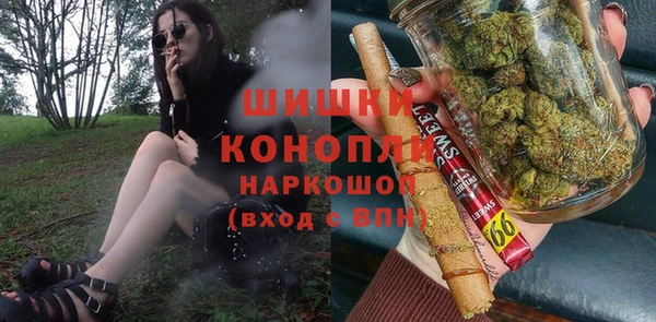 стаф Богородицк