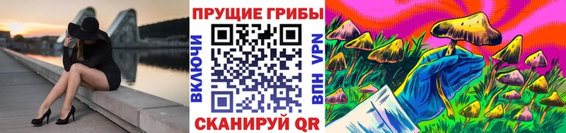 kraken как зайти  Можга  Псилоцибиновые грибы мухоморы 